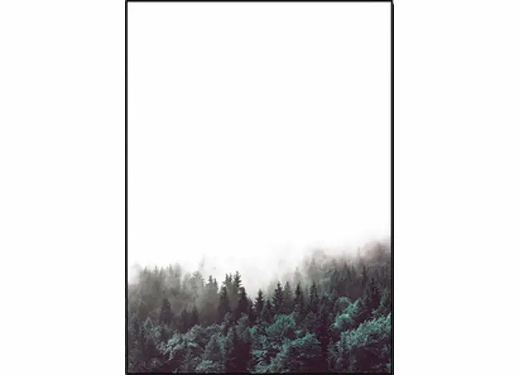 Contemporary Home Decor | Mysterious Forest - Wall Art Print